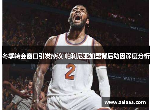 冬季转会窗口引发热议 帕利尼亚加盟背后动因深度分析