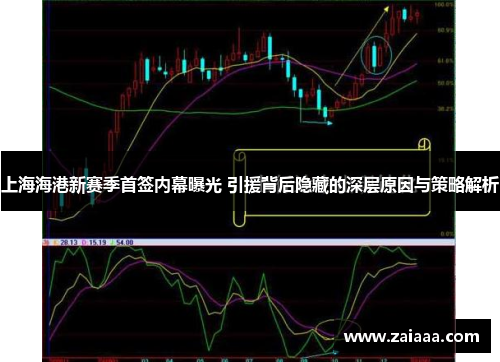上海海港新赛季首签内幕曝光 引援背后隐藏的深层原因与策略解析