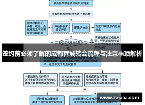 签约前必须了解的成都蓉城转会流程与注意事项解析